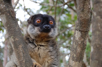 Madagascar